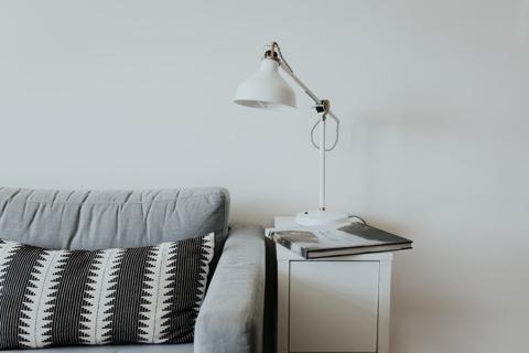 Interior design with green plants and wall frames